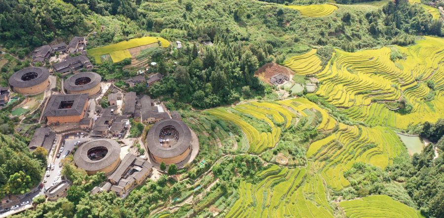 1.福建土樓標志性建筑田螺坑土樓群旁是錯落有致的金黃色稻田，兩者相互襯映，美不勝收。韓佳鑌 攝