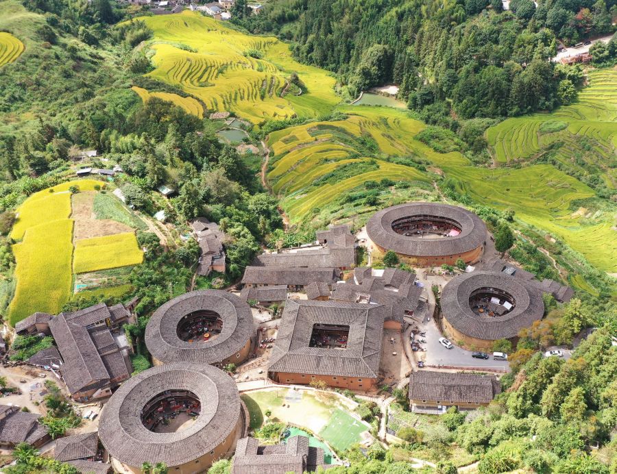 4.福建土樓標志性建筑田螺坑土樓群旁是錯落有致的金黃色稻田，兩者相互襯映，美不勝收。韓佳鑌 攝
