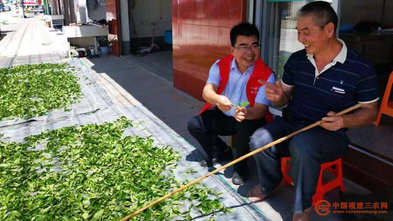 1金融助理在和南洋茶農(nóng)交談.jpg