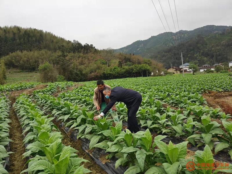 5 金融助理和種養(yǎng)大戶.jpg