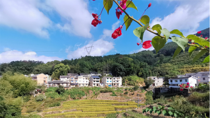 稿3：福安穆云：聯(lián)村共建，打造鄉(xiāng)村旅游新樣板755.png