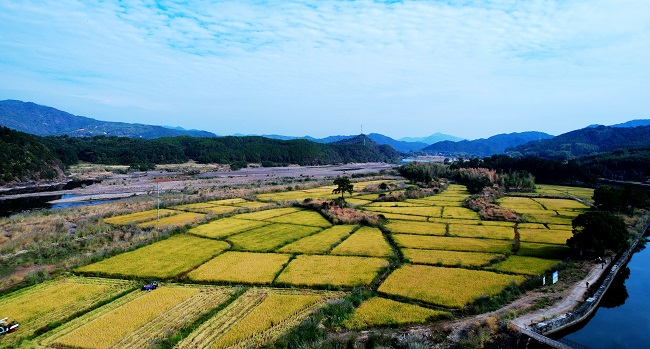 光澤縣崇仁鄉(xiāng)2022年撂荒地復(fù)耕復(fù)墾種糧項(xiàng)目現(xiàn)場驗(yàn)收