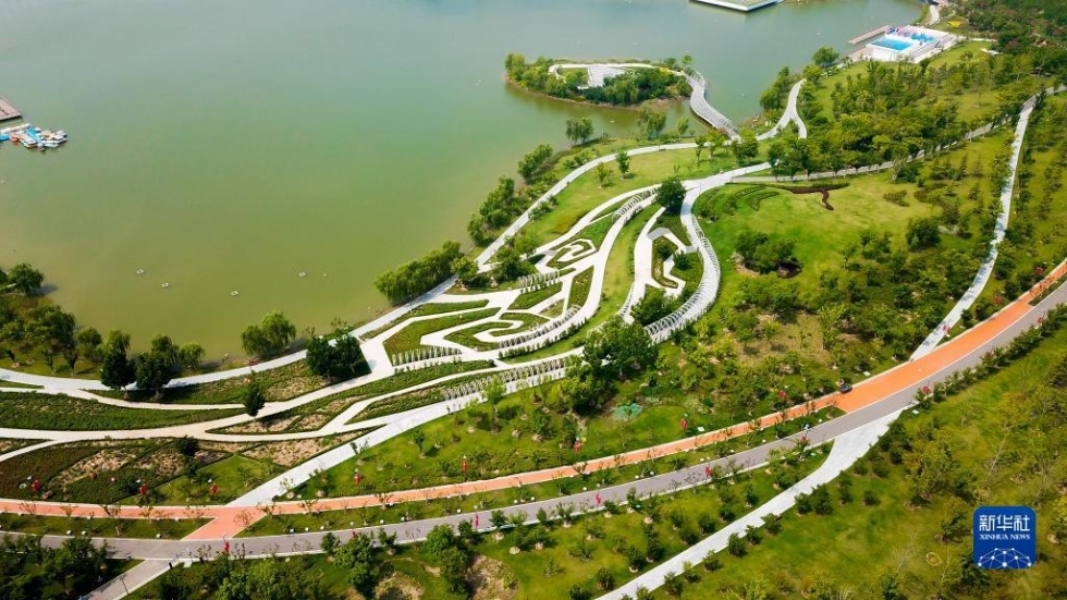大美濕地城市丨濟(jì)寧