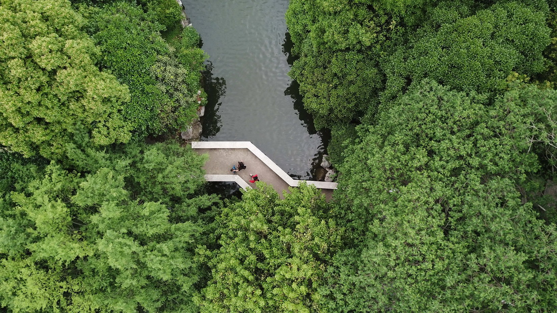 2021年5月5日，市民在合肥市環(huán)城公園散步（無(wú)人機(jī)照片）。 新華社記者 張端 攝