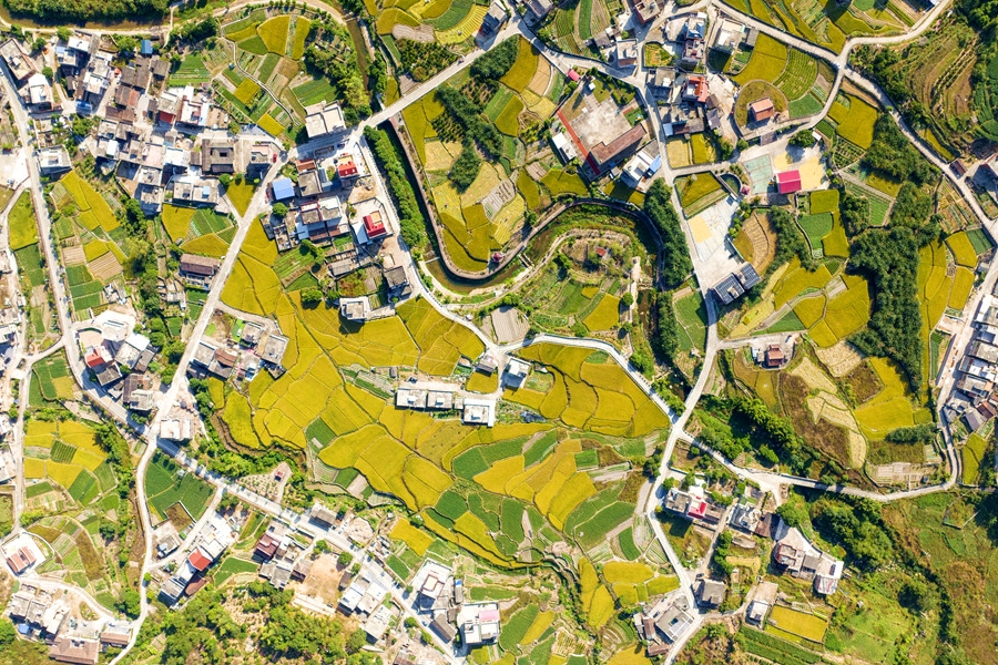 廈門市同安區(qū)蓮花鎮(zhèn)上陵村。夏海濱攝