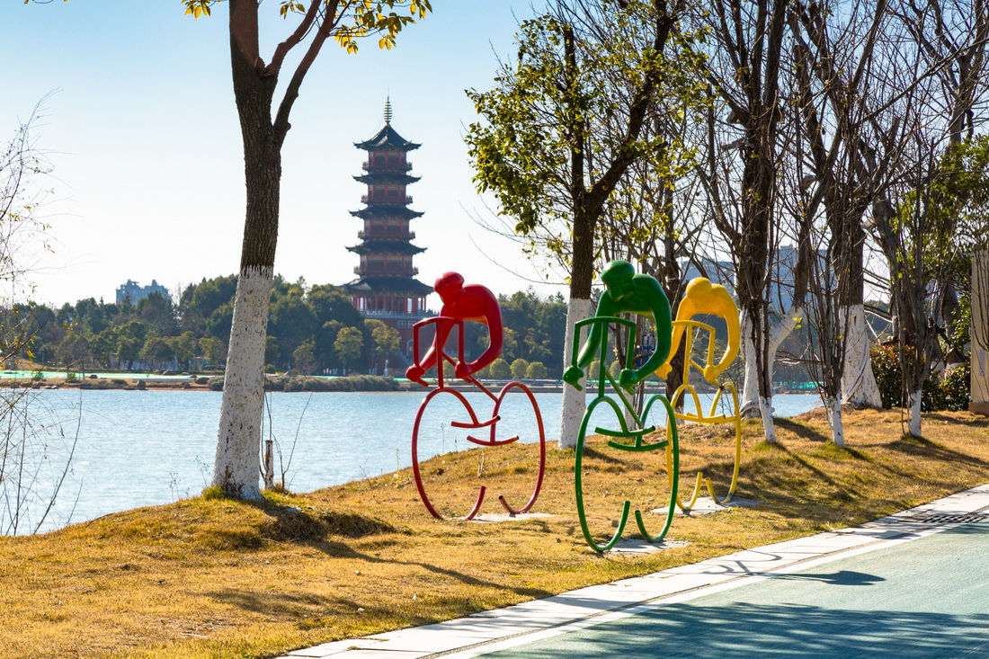 位于南昌市西湖區(qū)的象湖濕地公園（2021年1月12日攝）。新華社發(fā)（范瑋 攝）