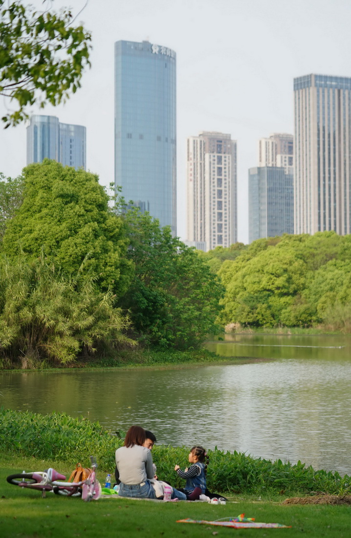 市民在南昌市艾溪湖濕地公園的草地上休憩（2020年4月6日攝）。新華社記者 周密 攝