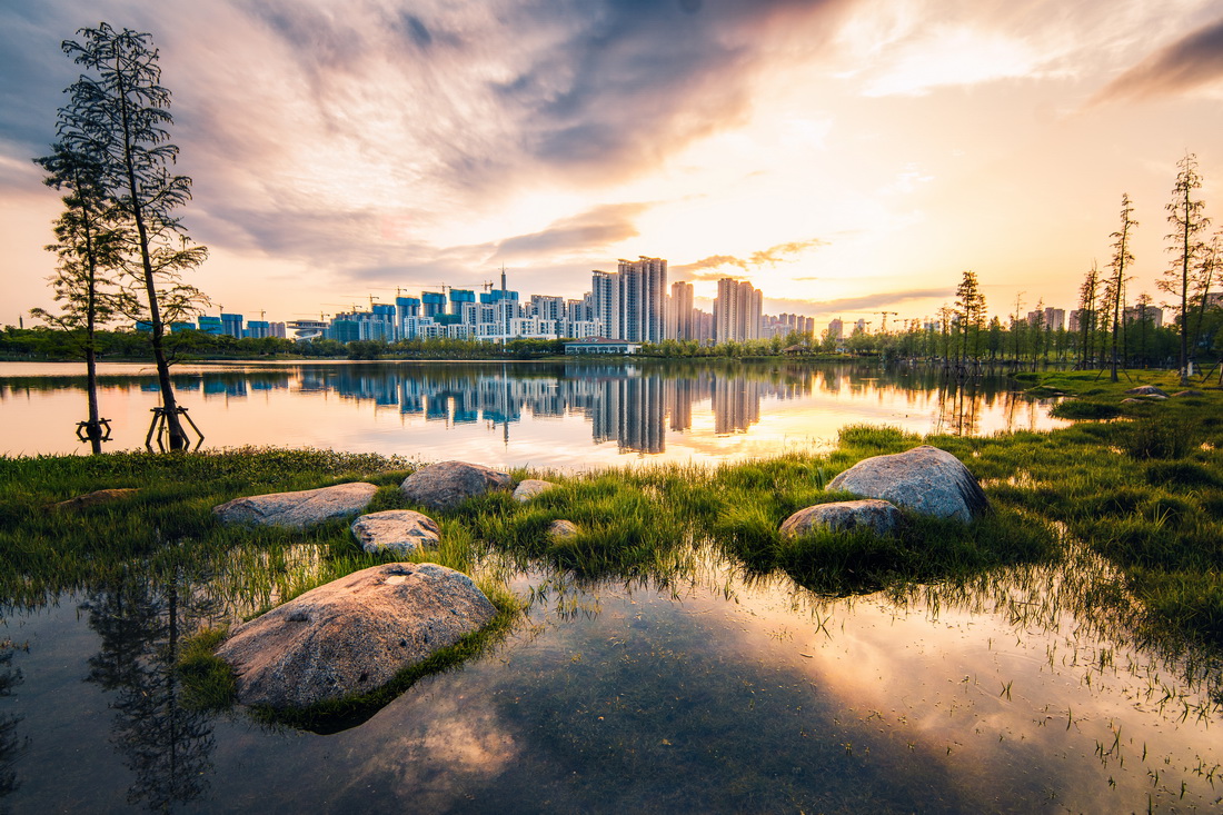 位于南昌市西湖區(qū)的象湖濕地公園（2020年4月19日攝）。新華社發(fā)（曾真金 攝）