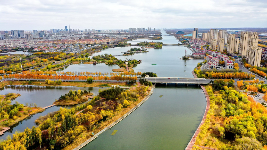 東營市廣利河森林濕地公園景色（11月13日攝，無人機(jī)照片）。 新華社發(fā)（李恒發(fā) 攝）