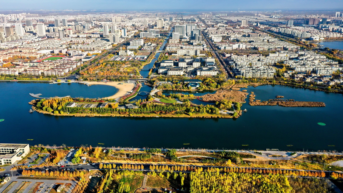 東營市明月湖國家城市濕地公園景色（11月13日攝，無人機(jī)照片）。 新華社發(fā)（任小杰 攝）