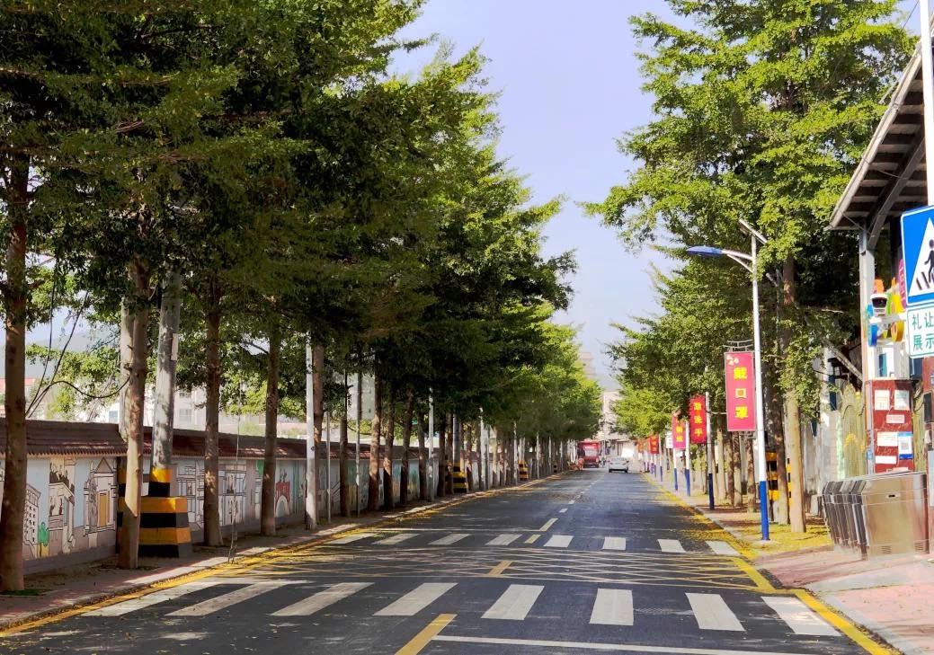 整潔干凈的集美區(qū)后溪鎮(zhèn)侖上村道路。集美區(qū)委鄉(xiāng)村振興辦供圖