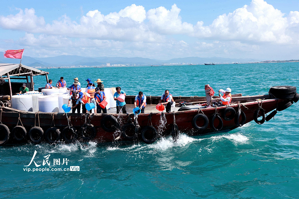 海南三亞：增殖放流護(hù)生態(tài)【3】
