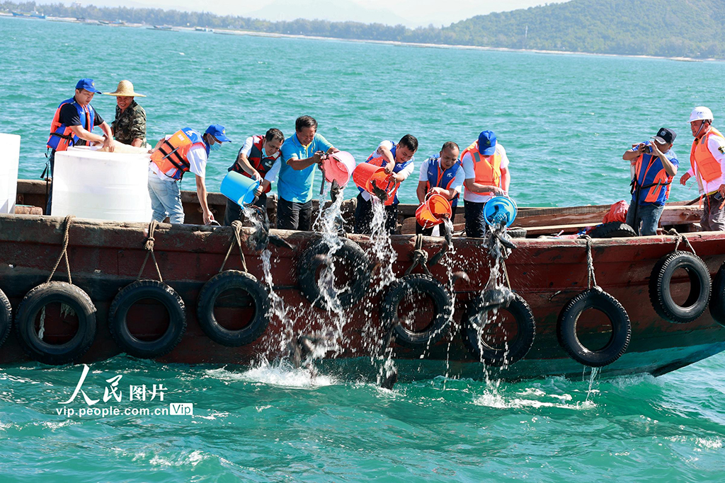 海南三亞：增殖放流護(hù)生態(tài)【4】