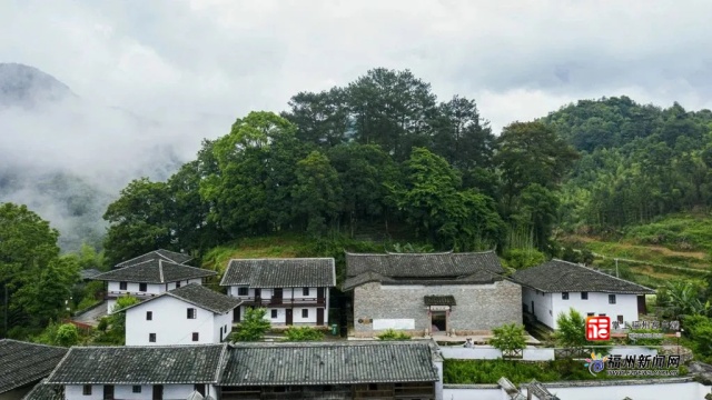 第二批福建最美古樹遴選結(jié)果揭曉 福州兩個古樹群上榜