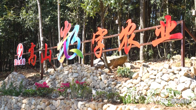 酷！閩侯洋里這個(gè)村用“黑科技”發(fā)展農(nóng)業(yè)