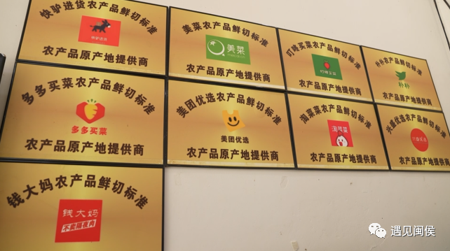 酷！閩侯洋里這個(gè)村用“黑科技”發(fā)展農(nóng)業(yè)