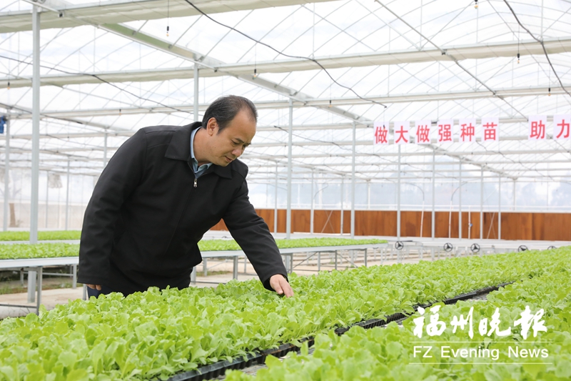 福建省種苗創(chuàng)新基地一期投用 首批蔬菜將投放春節(jié)市場