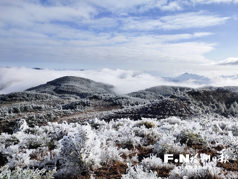 瑞雪兆豐年 閩侯大湖鄉(xiāng)雪花霧凇齊上陣