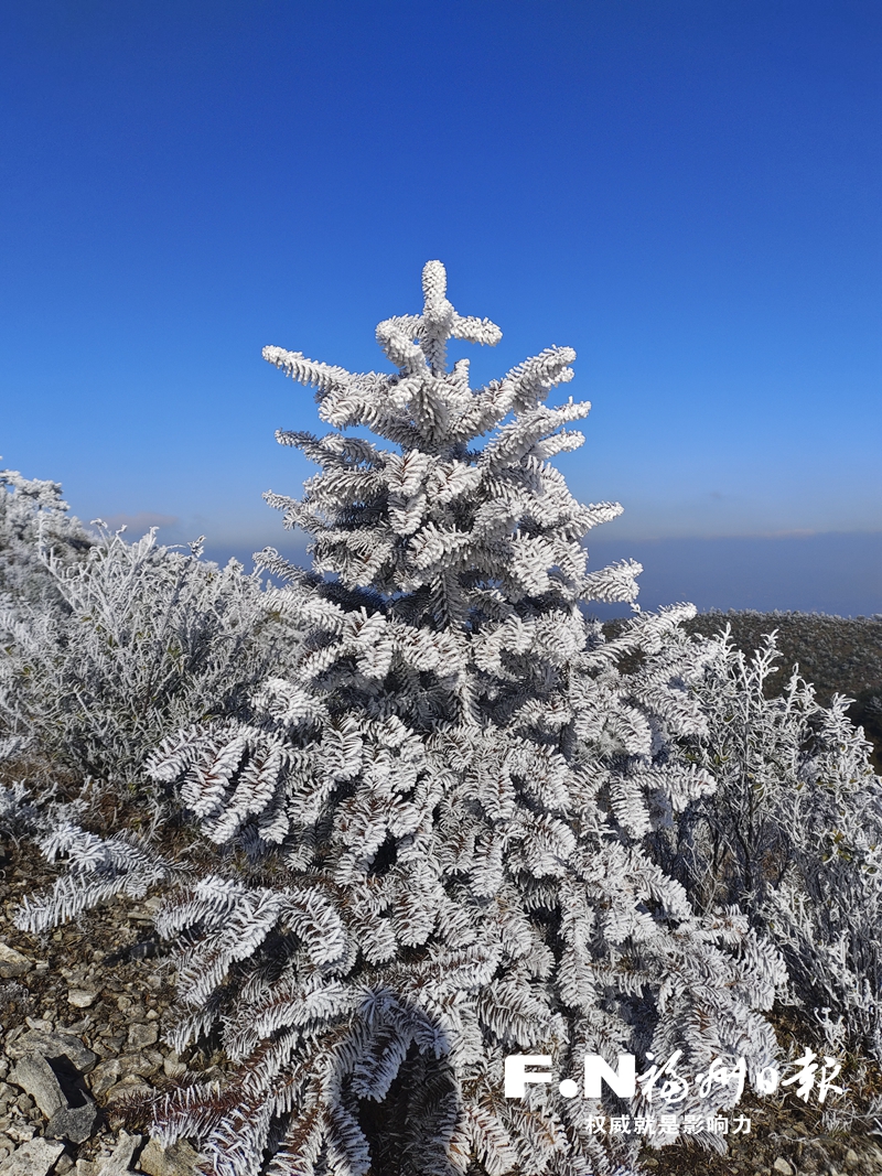 瑞雪兆豐年 閩侯大湖鄉(xiāng)雪花霧凇齊上陣