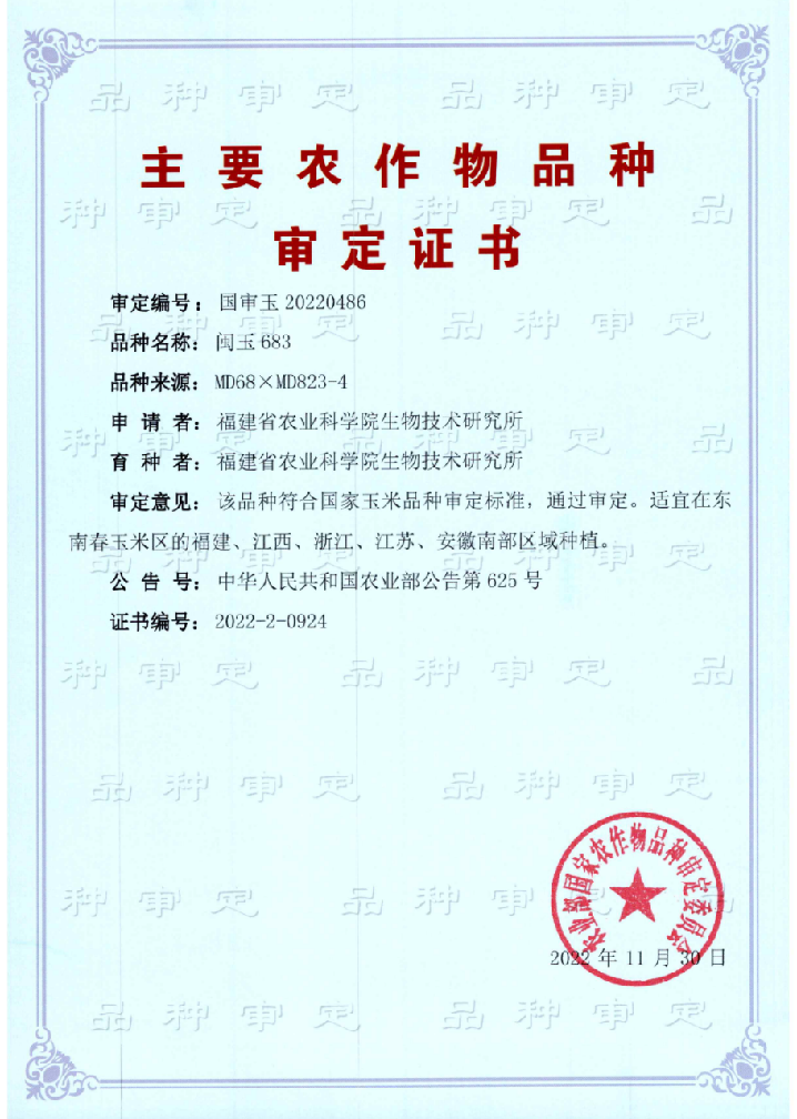 “閩玉683”表現(xiàn)優(yōu)秀！福建首個(gè)通過(guò)國(guó)家審定的普通玉米新品種
