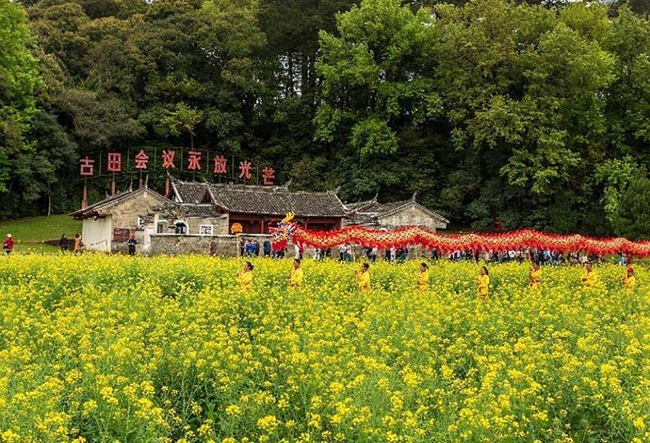 《上杭古田會(huì)議會(huì)址》 上杭縣油菜花。藍(lán)善祥攝