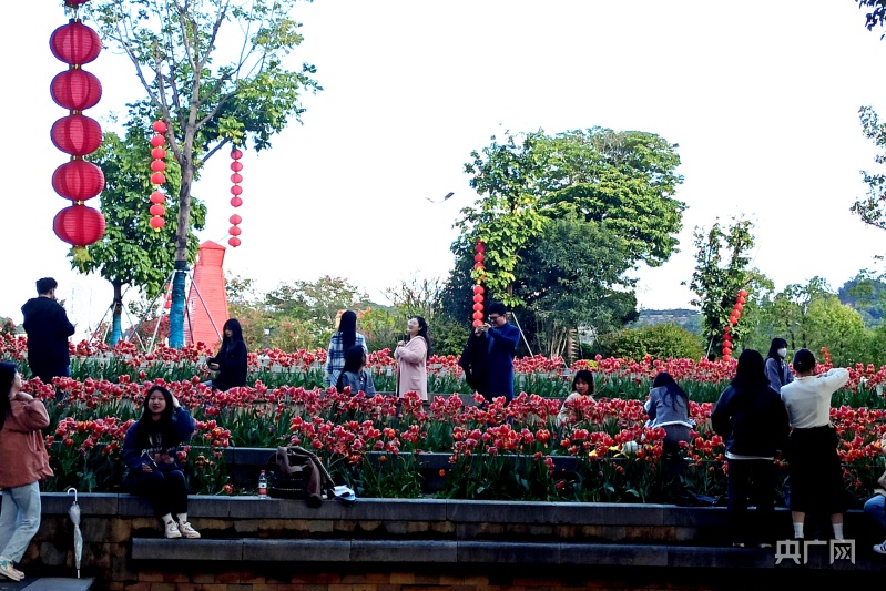 福州公園鮮花盛放 游客紛至沓來