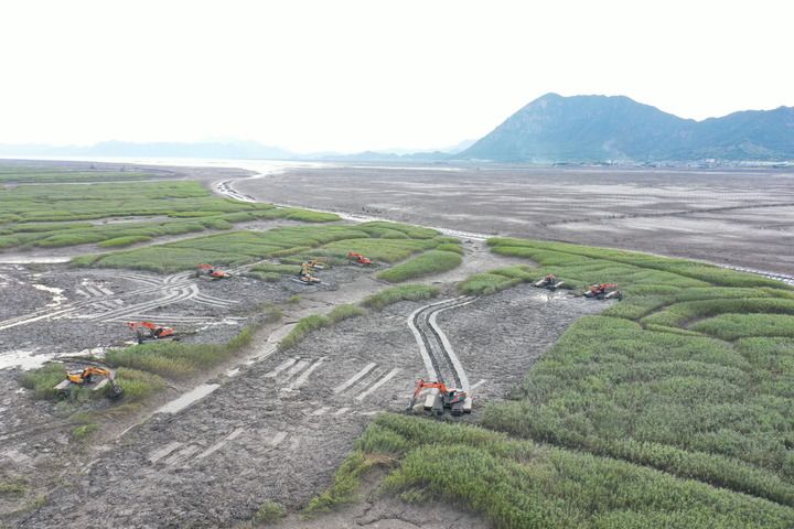 新華社關(guān)注福建：推進(jìn)互花米草綜合治理及生態(tài)修復(fù)