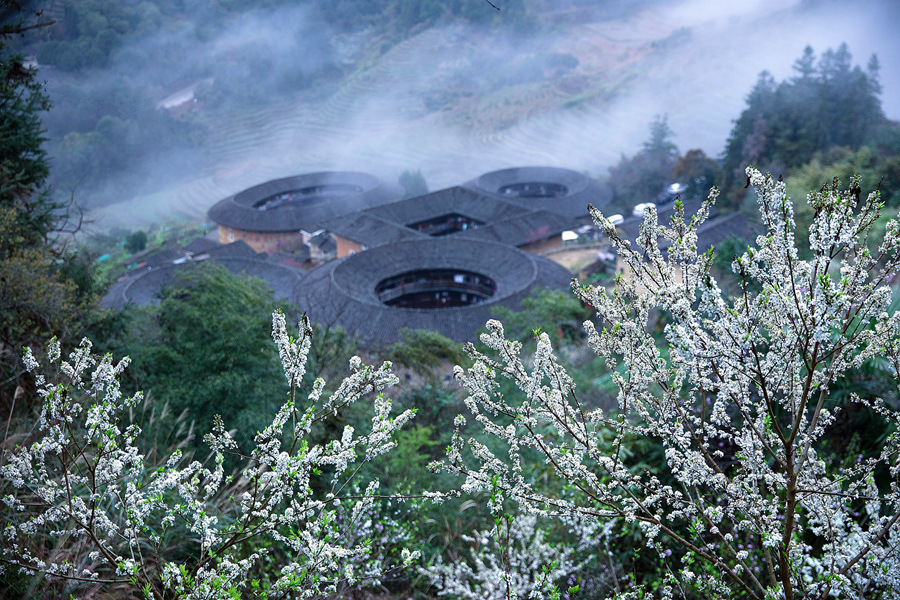 3.春到土樓，勾勒出一幅醉美風(fēng)景圖。馮木波攝