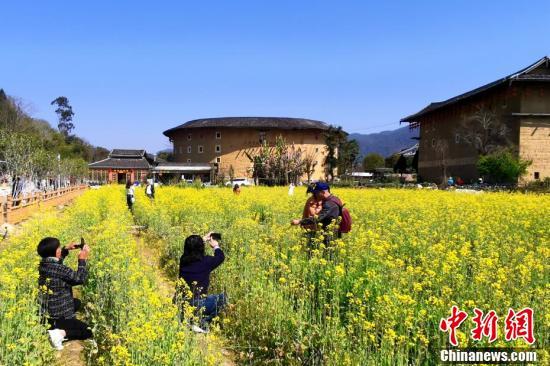 游客在南靖土樓前賞油菜花拍照。張金川 攝