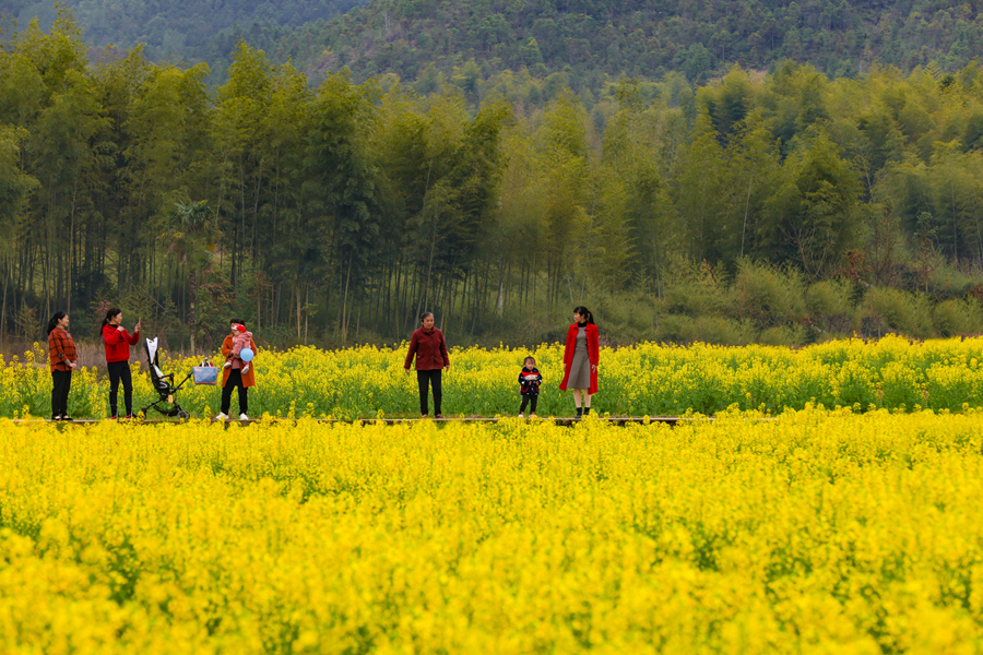 游客們?cè)诮鹕ㄌ锢锾で噘p花、拍照，其樂融融。黃尉峰攝