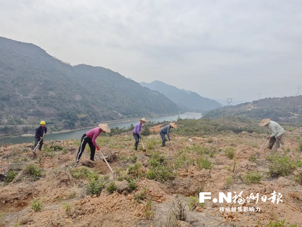 福州已完成植樹造林30807畝，進度位居全省前列