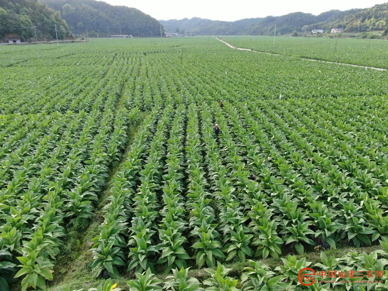 圖片3_副本.png