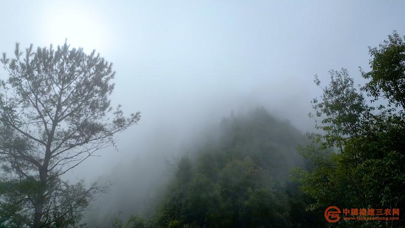 建陽葛墩村  cp山干音(1).00_00_33_22.Still004_副本.jpg