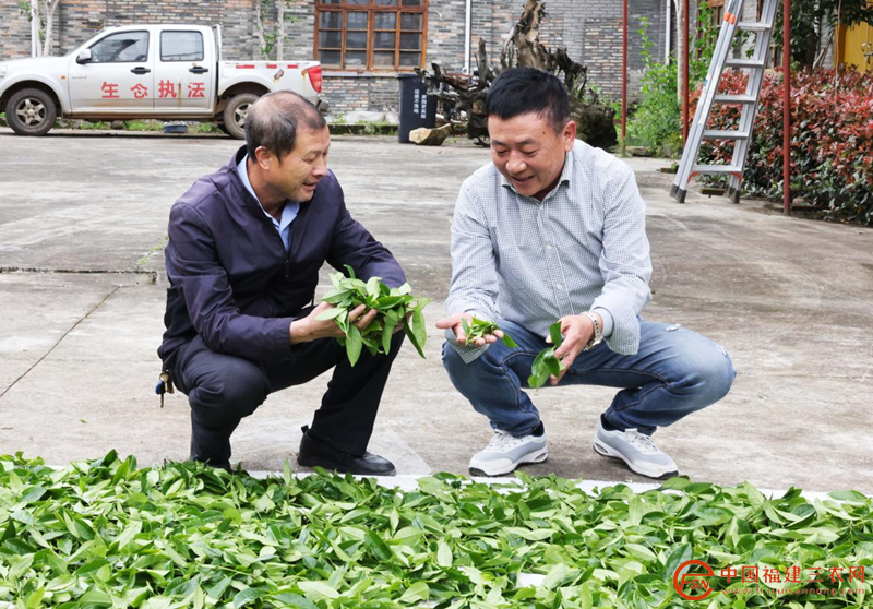 圖片8_副本.png