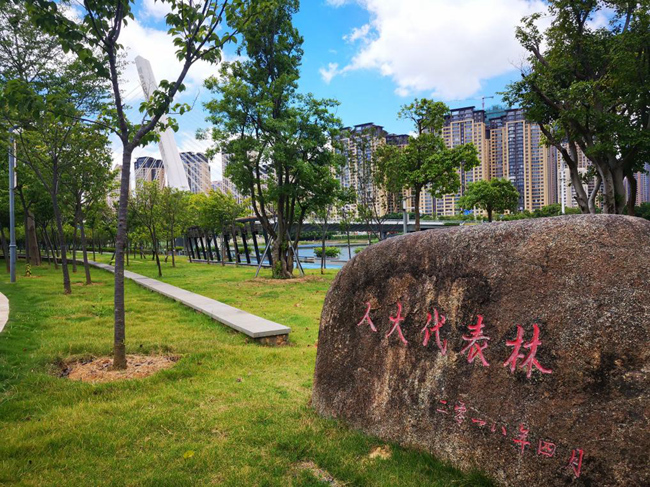 “人大代表林”一角。福清市人大常委會供圖