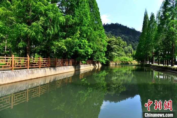 圖為5月28日，龍棲山國家級自然保護區(qū)內(nèi)景色如畫?！埍?攝