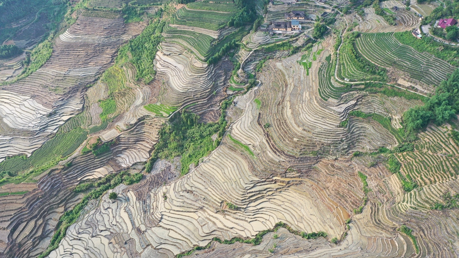 4..新翻耕的千畝梯田層次分明，宛若鑲嵌在大地上的指紋。黃建和攝