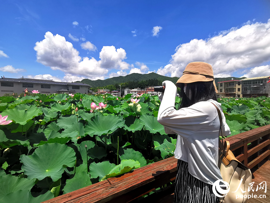 紀(jì)念館前盛開的荷花，也吸引了不少游客拍照留念。人民網(wǎng)記者 林曉麗攝
