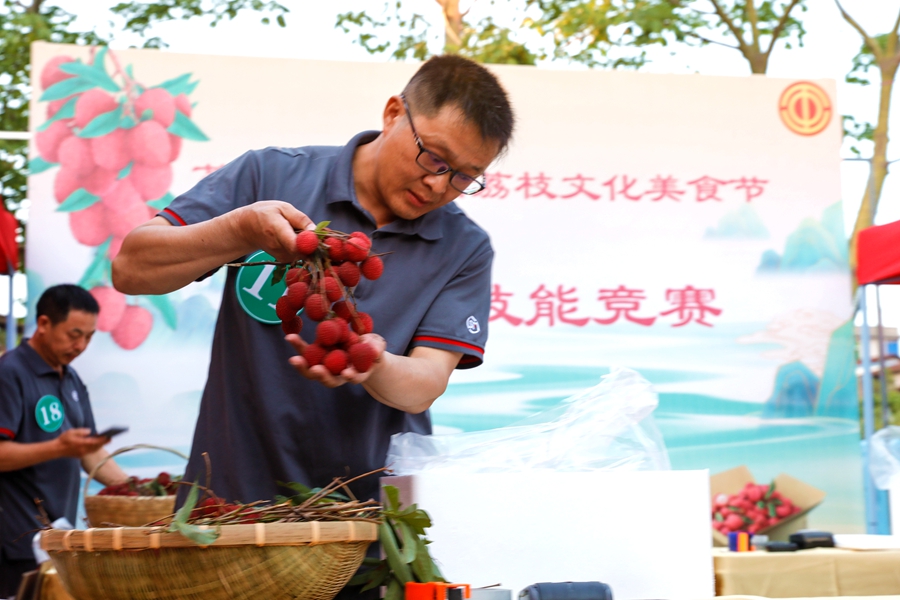 荔枝打包職業(yè)技能競賽。姚文峰攝