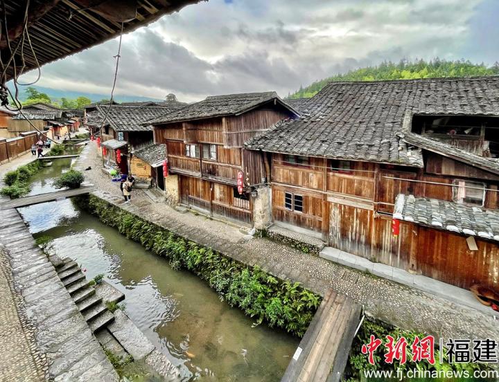 鯉魚溪至今已有八百多年的歷史，遷居于浦源村的鄭氏先祖在溪中放養(yǎng)鯉魚，制定村規(guī)民約保護(hù)溪中之魚。呂巧琴 攝