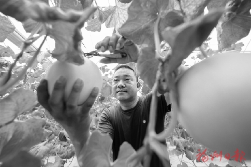 “一村一品”為鑰匙?打開富民興村門
