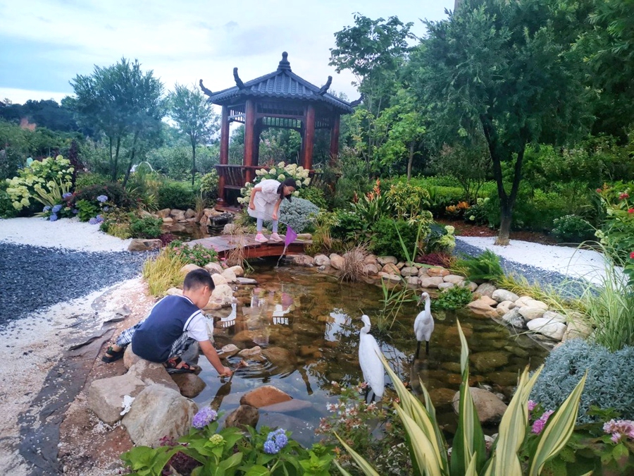 。寧德市委宣傳部供圖
