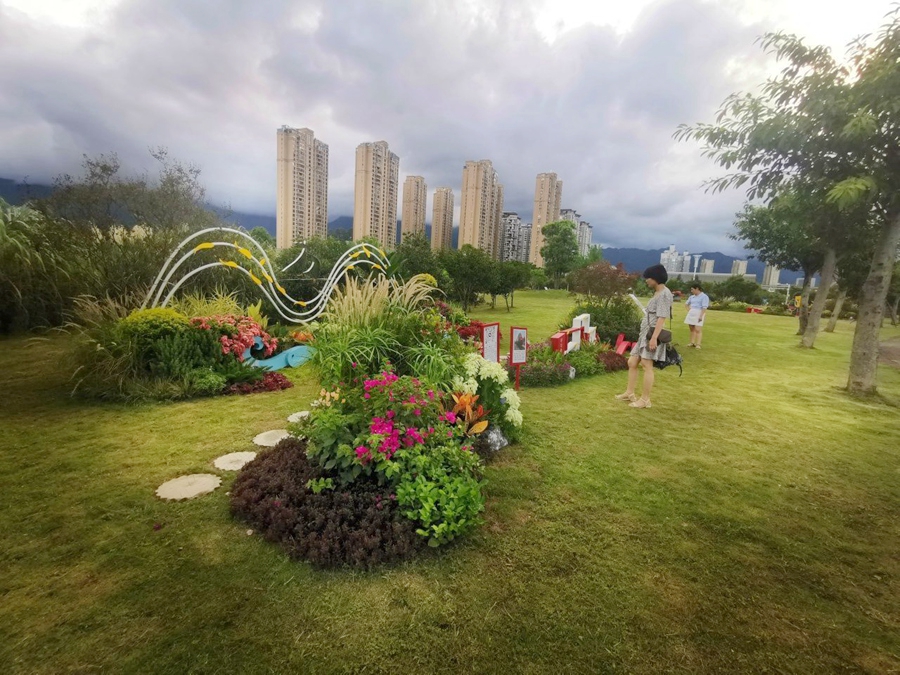 。寧德市委宣傳部供圖