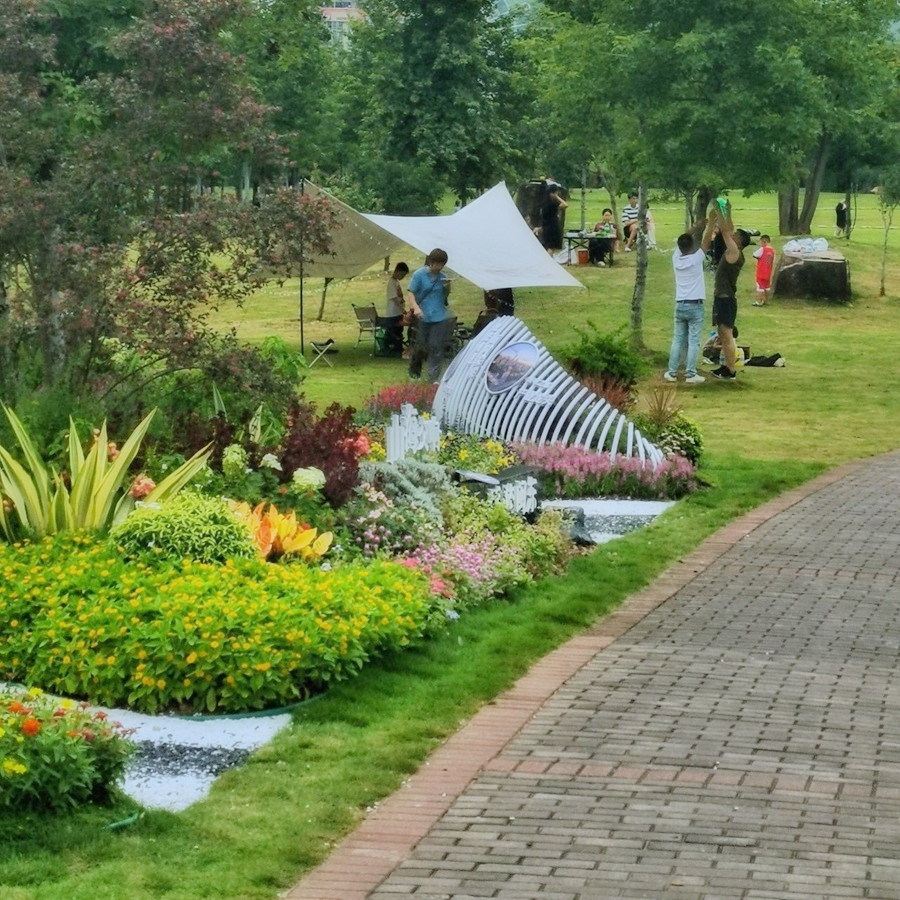 美麗的公園吸引了許多市民游客前往露營。寧德市委宣傳部供圖