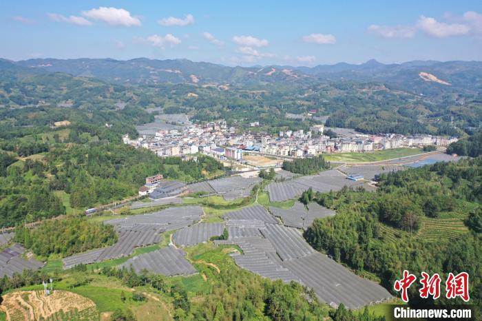 航拍曉陽鎮(zhèn)。孫伏明攝