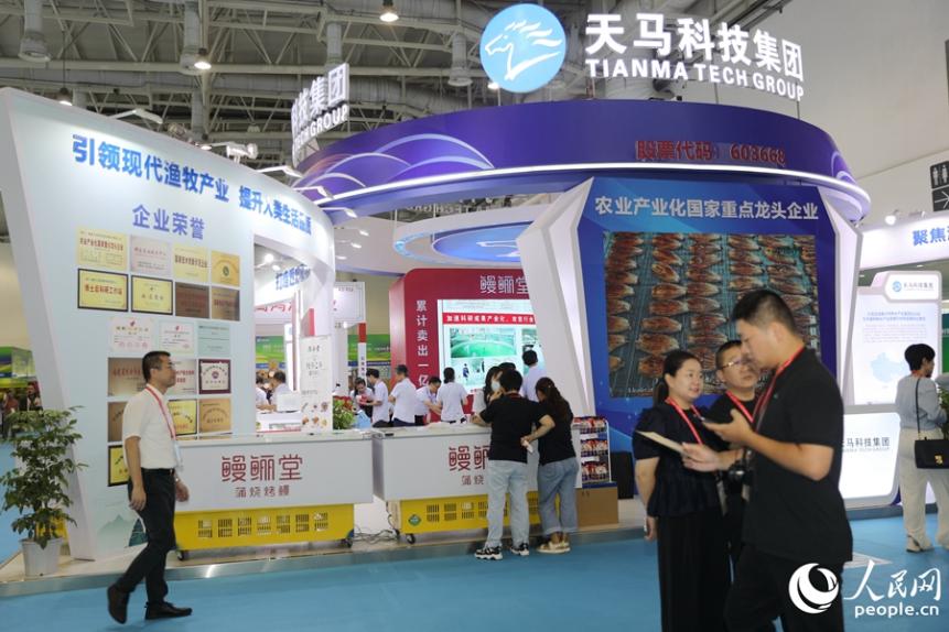 天馬科技展位吸引觀展者駐足。人民網(wǎng) 李昌乾攝