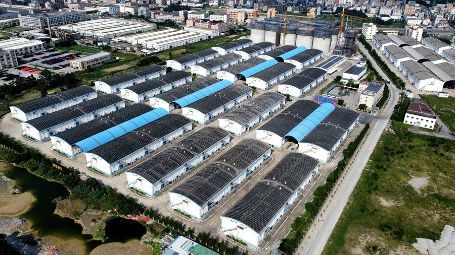 福建省儲備糧公司長樂直屬庫。林文勝攝