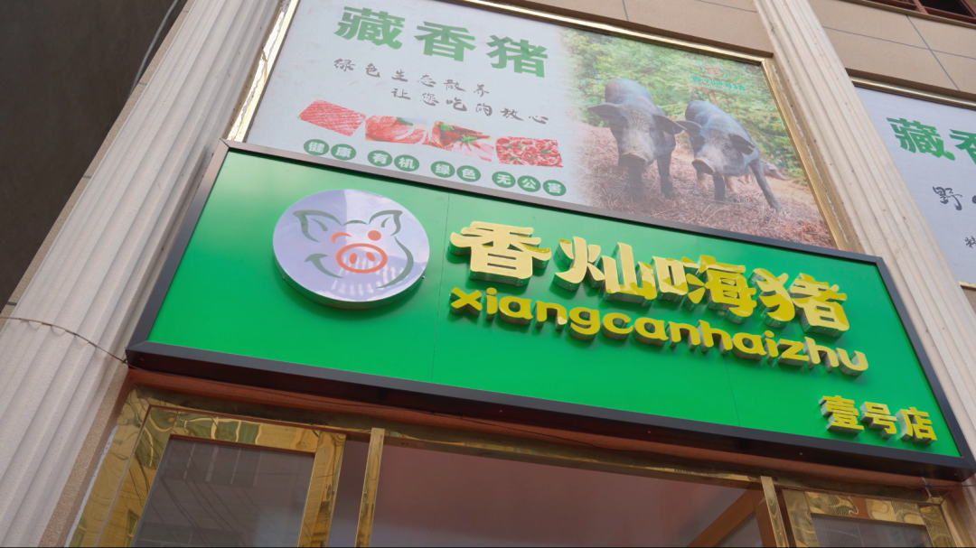 閩清縣東橋鎮(zhèn)：藏香豬養(yǎng)殖助農(nóng)增收致富