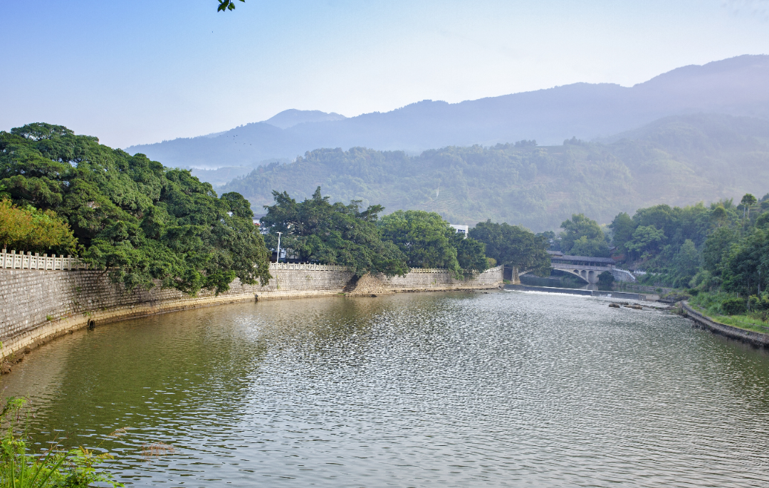 福安市潭頭鎮(zhèn)棠溪村雅榕古樹群。福建省林業(yè)局供圖