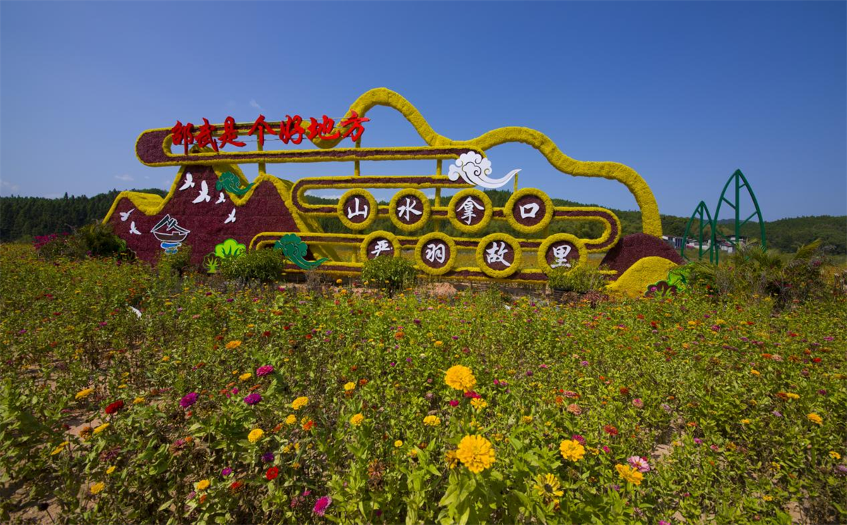 高速口花海（黃智偉 攝）
